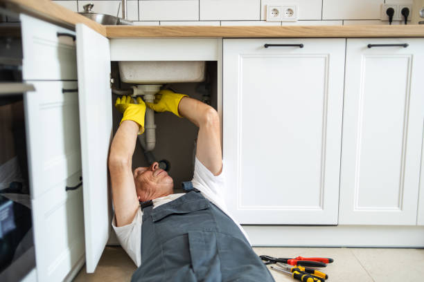 Best Local Plumber Services  in Fairview Park, IN
