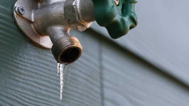 Best Sprinkler Systems  in Fairview Park, IN
